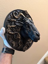 SilvioB review photo