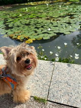 Ervina Wu review photo