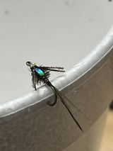 Martin Maggard review photo