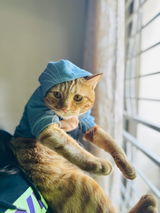 Hoodie review photo