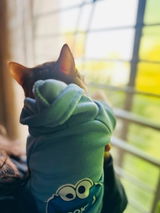 Hoodie review photo