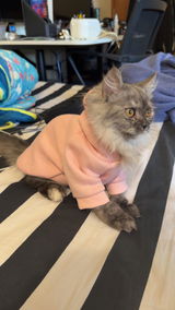 mochi review photo