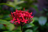 GS Murthy review photo