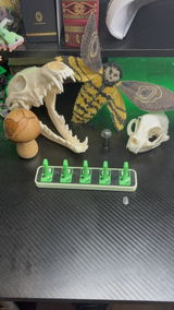 C.G. review photo