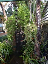 Snezana review photo