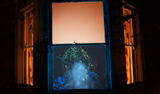 Lori York review photo