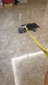 Customer review photo