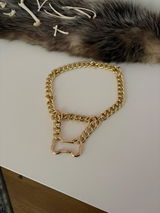 T review photo