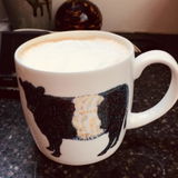 Bronwen Cavallo review photo