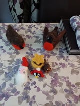 Kaz review photo