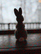 Lily H. review photo