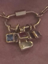 Shalev review photo