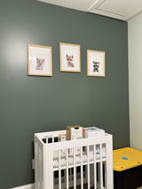 Laura Bolmey review photo