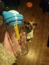 Josie review photo