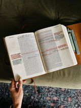 Paris review photo