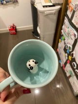 C***a review photo