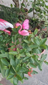 Archna Rathi review photo