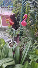 Archna Rathi review photo