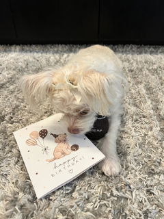 Review picture
