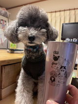 もこ太 review photo