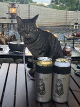 ビビママ review photo