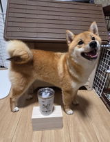こまつ review photo