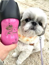 ちゃむ🐶 review photo