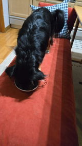 ニコ review photo