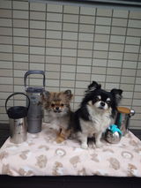 つむたの review photo