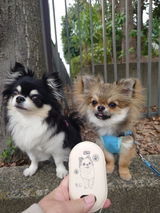 つむたの review photo