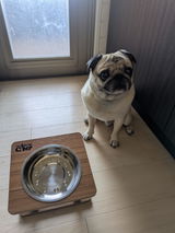 Ogura review photo
