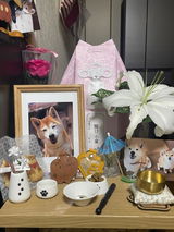 匿名 review photo