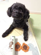 クッキー review photo
