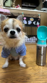 モカ review photo