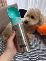 purinpurine review photo