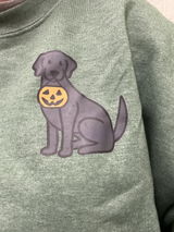 Mystery Sweatshirt