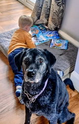 Anonymous review photo