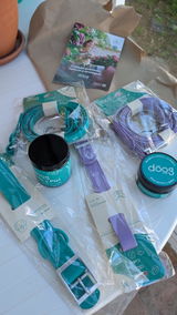 Noelia review photo