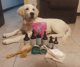noelia review photo