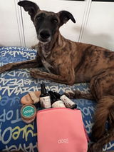 Ines review photo