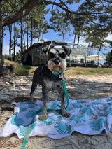 Kiara 🐶 y Puy review photo