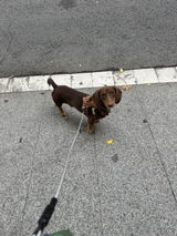 Lourdes Fortes review photo