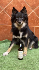 Tatiana Salvador Moreno review photo