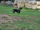 Montse review photo
