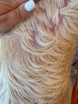 Inesrichartjavier review photo