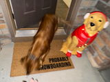 Kristy S. review photo