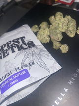 Dolo review photo