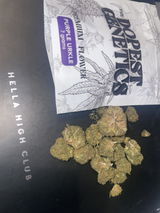 Dolo review photo