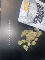 Dolo review photo