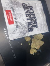 Dolo review photo